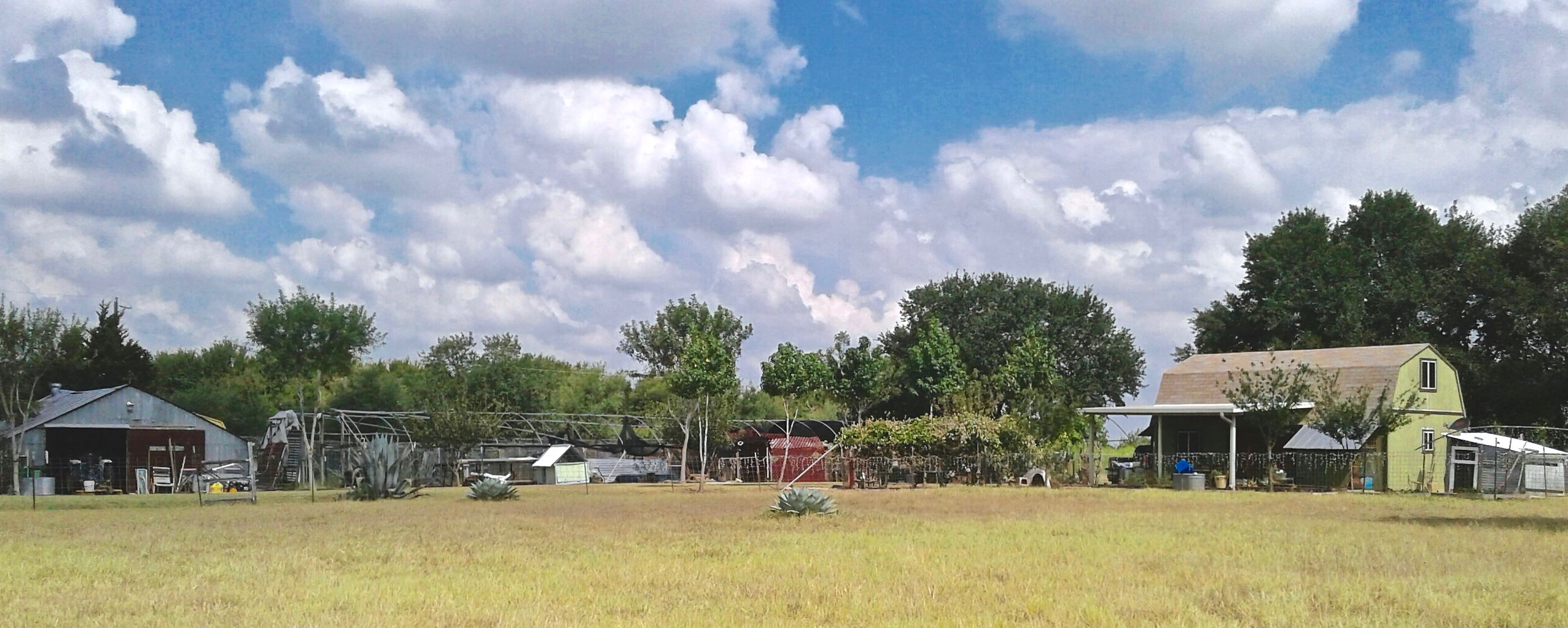 613 Upper Elgin River Austin Homes, Condos, Office, Retail, Land